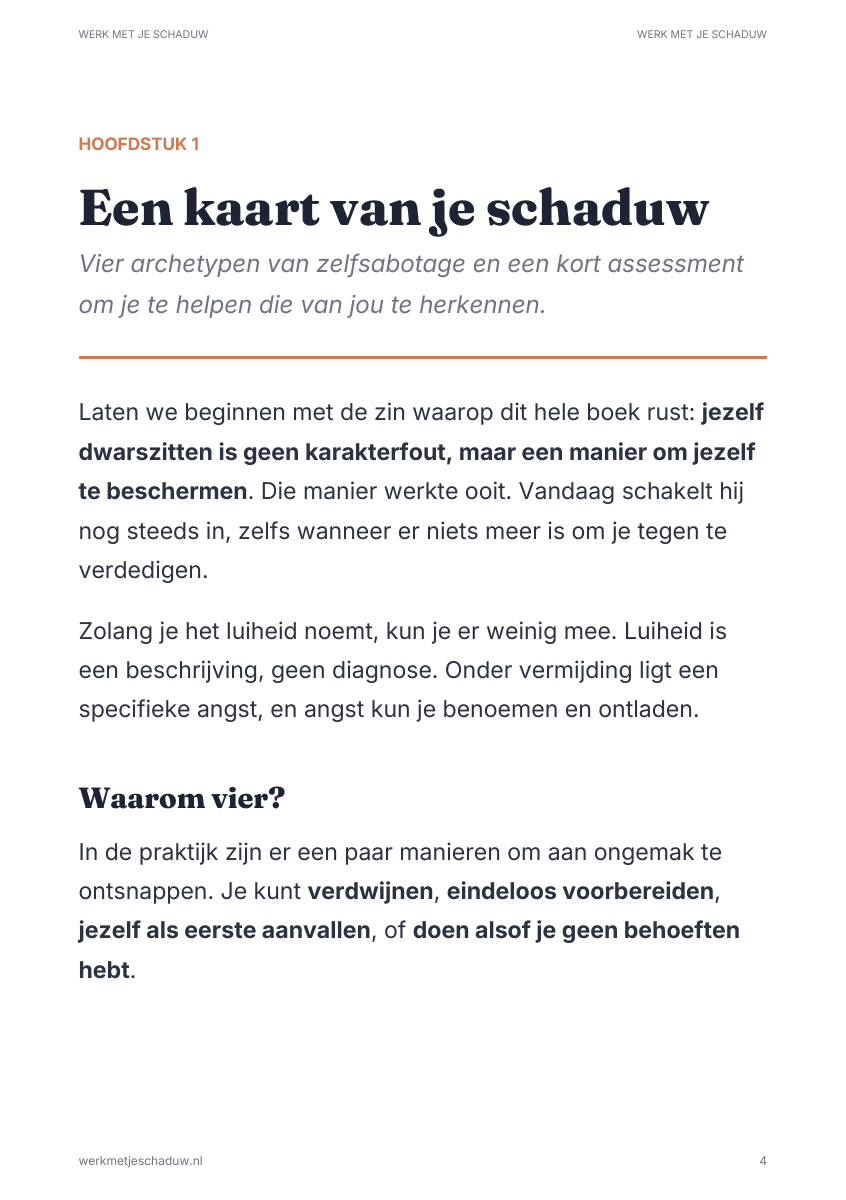 Een pagina uit het boek: De Archetypetest